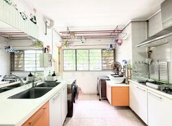 Blk 9 Farrer Park Gardens (Kallang/Whampoa), HDB 4 Rooms #577758001